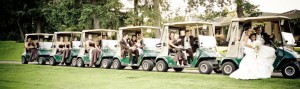 panaramic golf carts